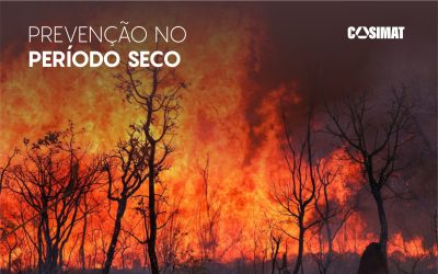 Cuidar do Meio Ambiente é Urgente: Prevenção no Período Seco